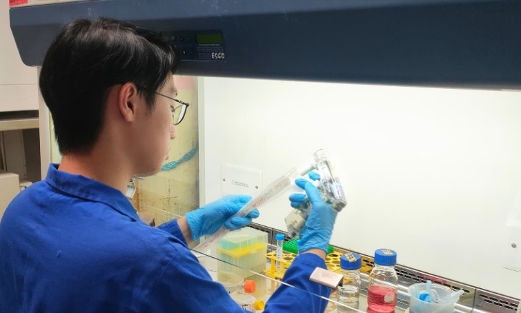 Reagan Chan working in the cell culture room, changing media, performing subculture, and growing 2D and 3D cells in flasks for use in various experiments.